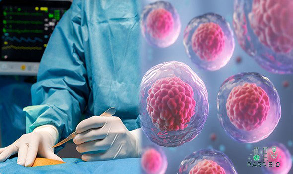 تمایز غضروف و درمان بیماری های مفصلی